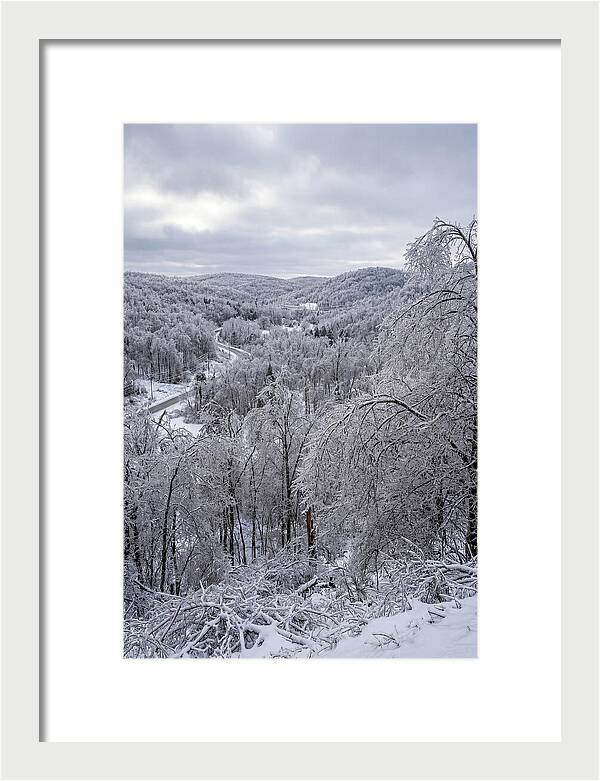 Tranquil Moments In Winter