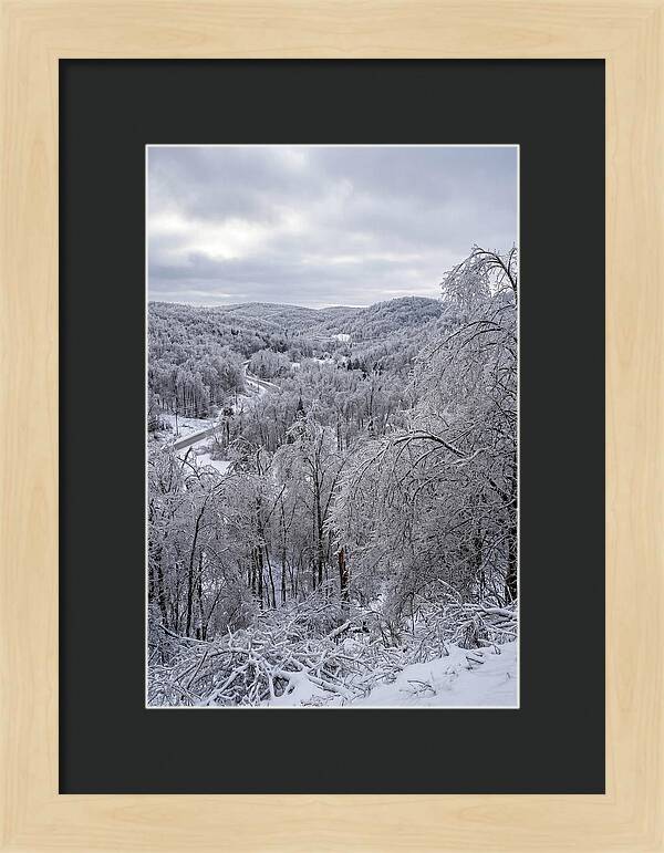 Tranquil Moments In Winter
