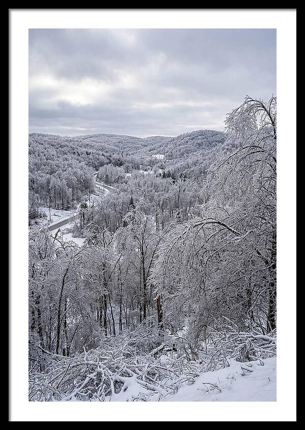 Tranquil Moments In Winter