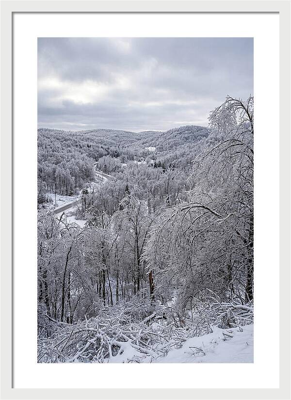 Tranquil Moments In Winter