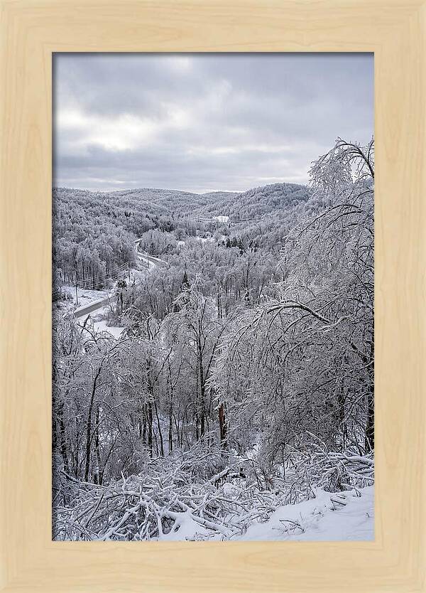Tranquil Moments In Winter