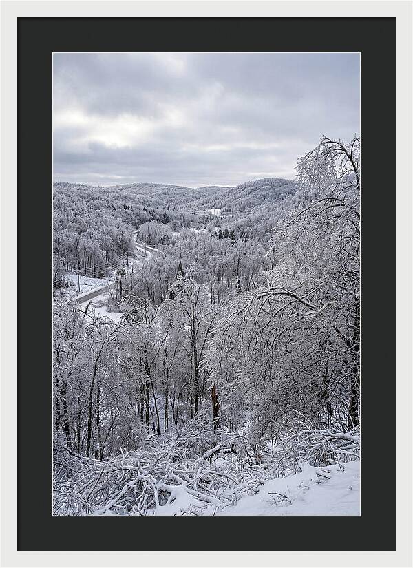 Tranquil Moments In Winter