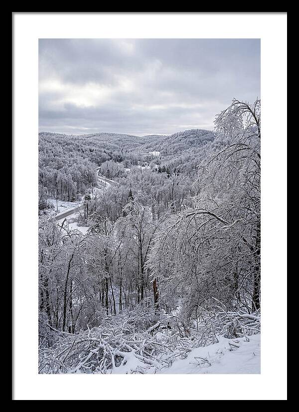 Tranquil Moments In Winter