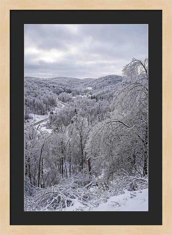 Tranquil Moments In Winter