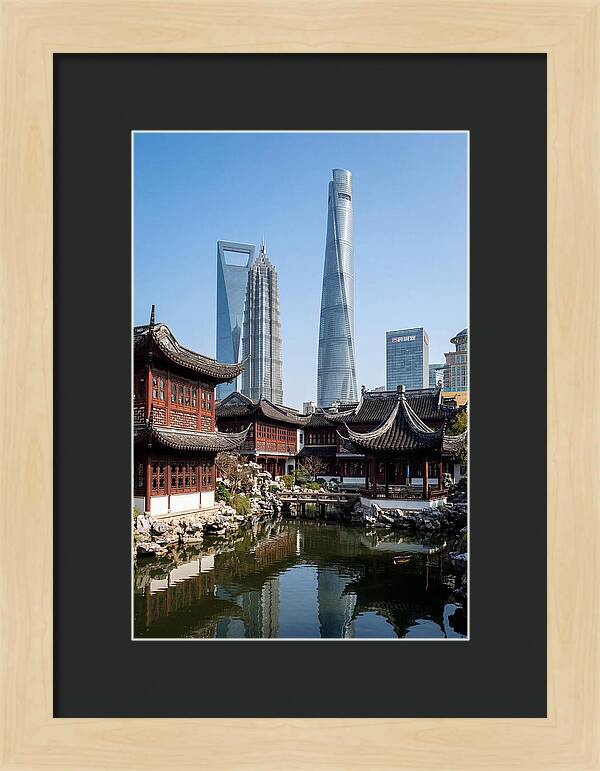 Tranquil Moments In Yu Garden