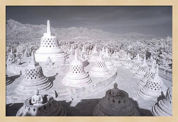Tranquil Morning At Borobudur