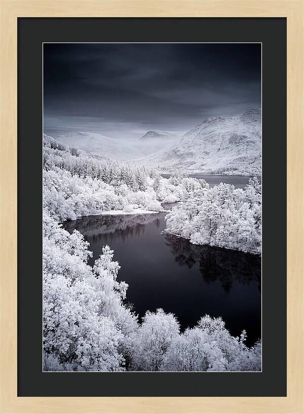 Tranquil Morning At Loch Lomond