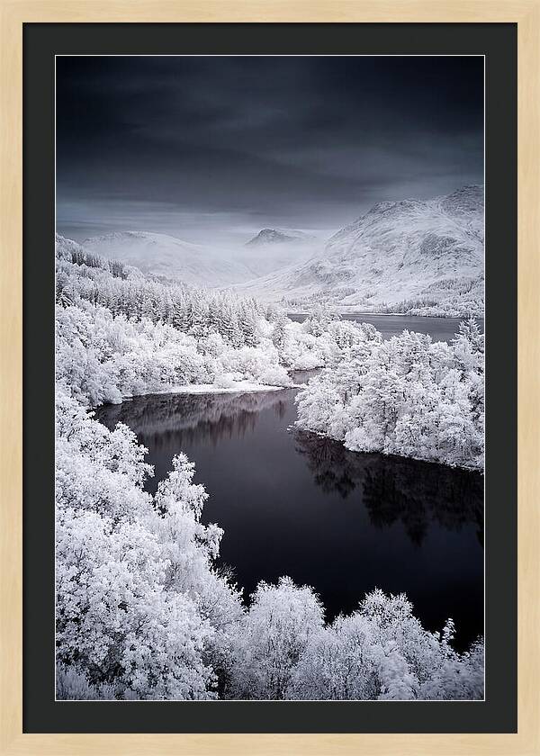 Tranquil Morning At Loch Lomond