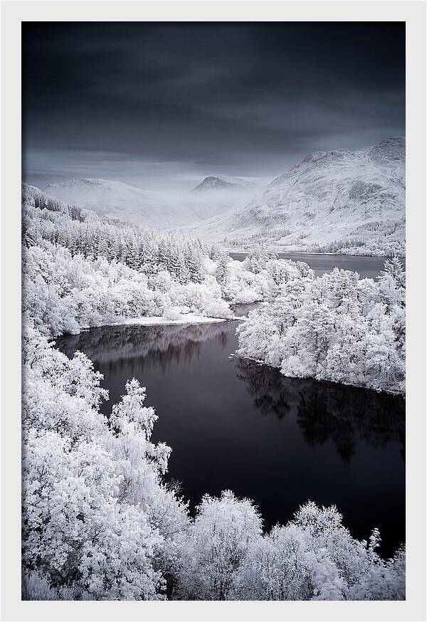 Tranquil Morning At Loch Lomond