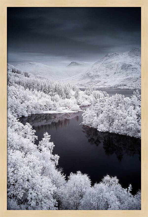 Tranquil Morning At Loch Lomond