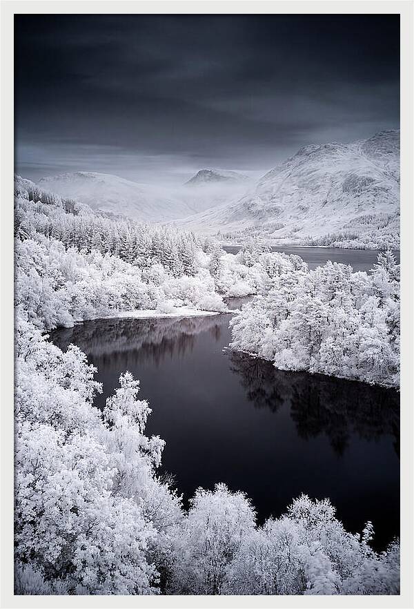 Tranquil Morning At Loch Lomond