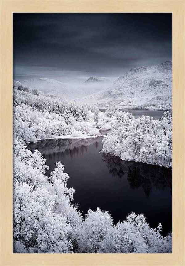 Tranquil Morning At Loch Lomond