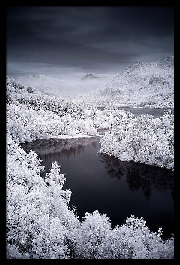 Tranquil Morning At Loch Lomond