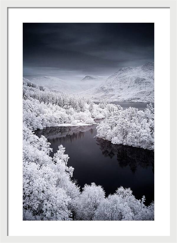 Tranquil Morning At Loch Lomond