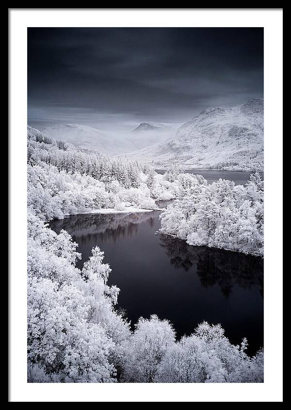 Tranquil Morning At Loch Lomond