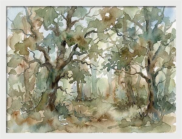 Tranquil Oak Grove