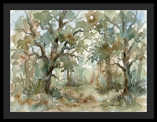Tranquil Oak Grove