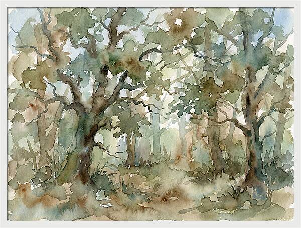 Tranquil Oak Grove