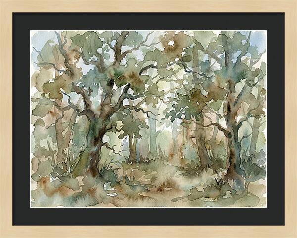Tranquil Oak Grove
