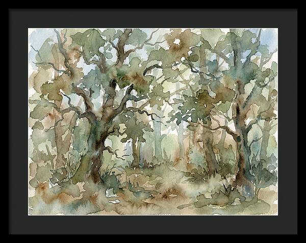 Tranquil Oak Grove