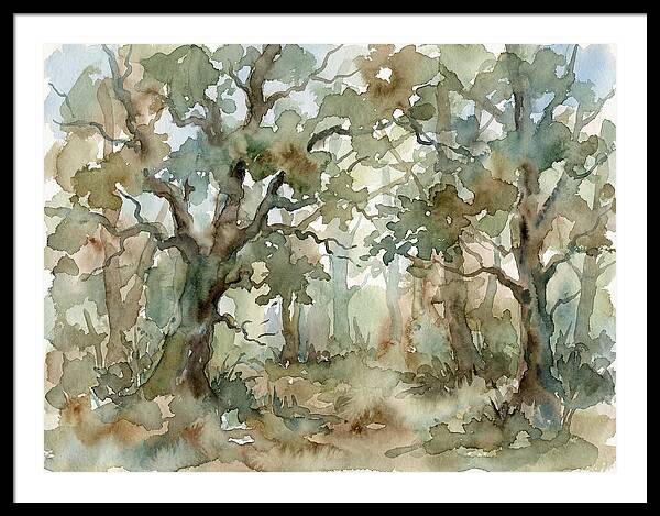 Tranquil Oak Grove