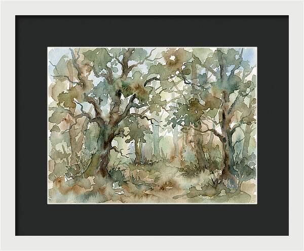 Tranquil Oak Grove