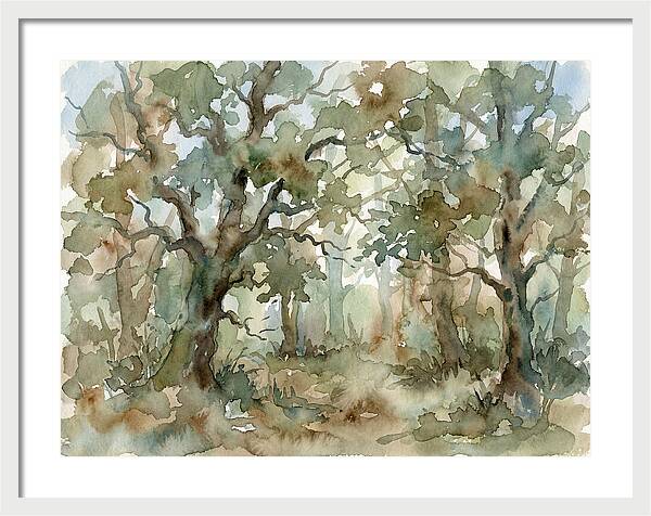 Tranquil Oak Grove