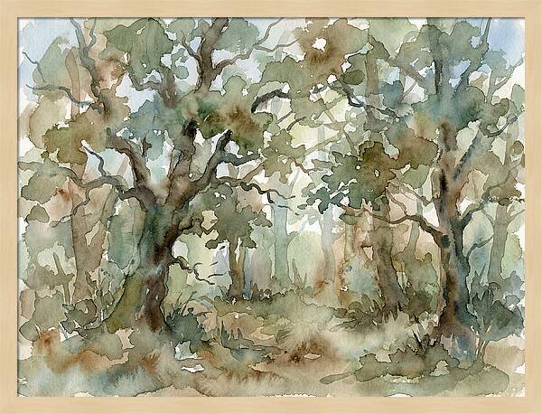 Tranquil Oak Grove