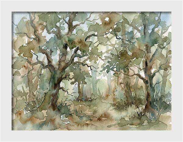 Tranquil Oak Grove
