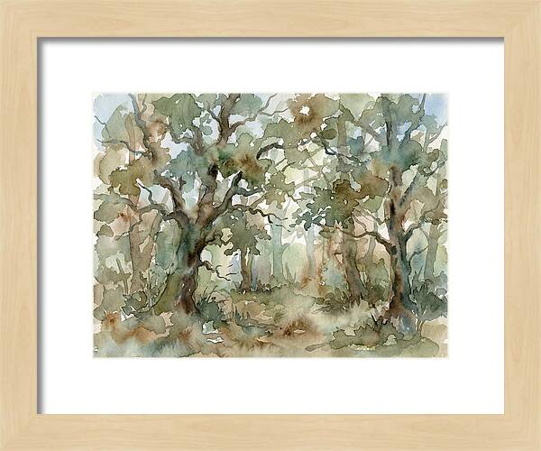Tranquil Oak Grove