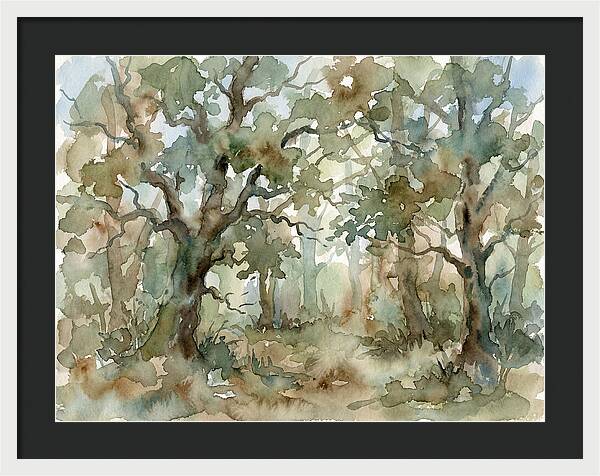 Tranquil Oak Grove