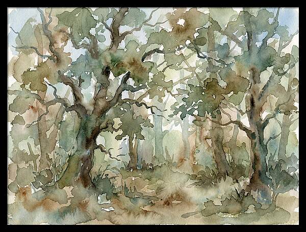 Tranquil Oak Grove