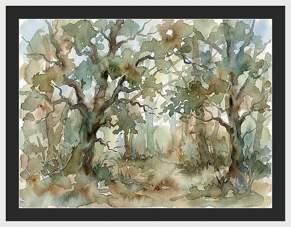 Tranquil Oak Grove