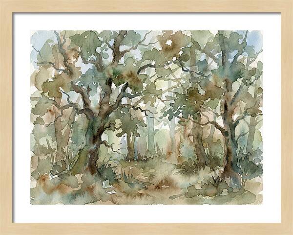 Tranquil Oak Grove