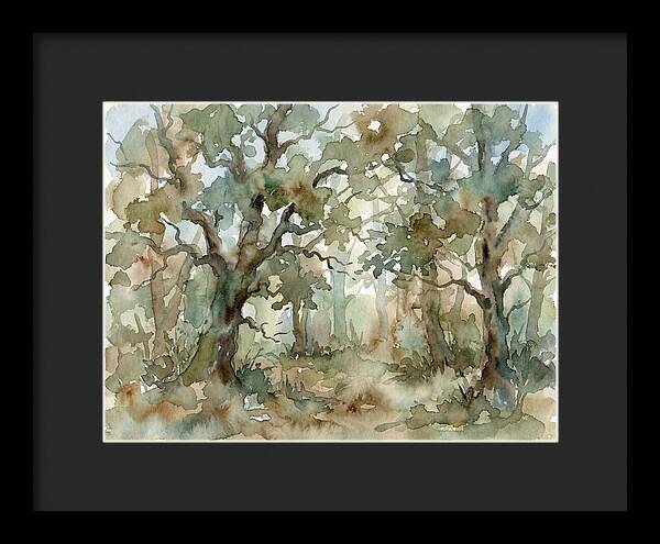 Tranquil Oak Grove