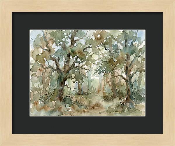 Tranquil Oak Grove