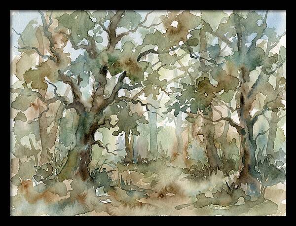 Tranquil Oak Grove