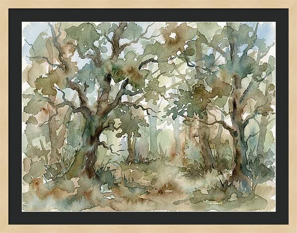 Tranquil Oak Grove