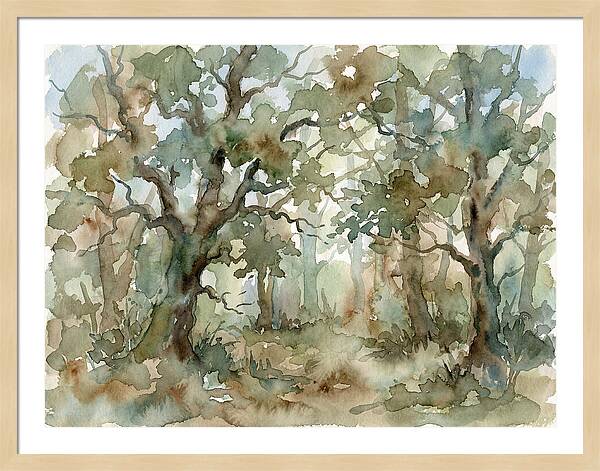 Tranquil Oak Grove
