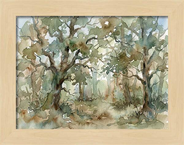 Tranquil Oak Grove