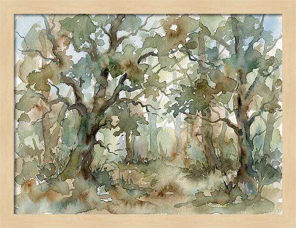 Tranquil Oak Grove