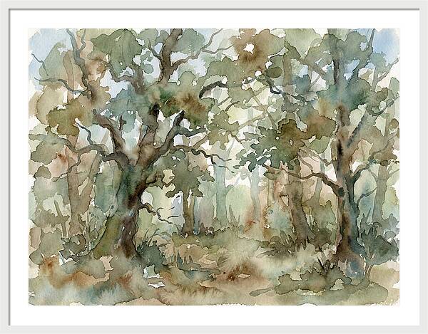 Tranquil Oak Grove