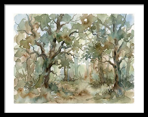 Tranquil Oak Grove