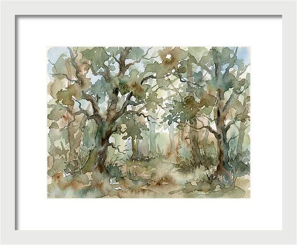 Tranquil Oak Grove
