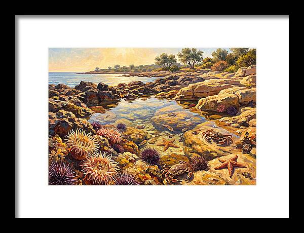 Tranquil Ocean Serenity 8959