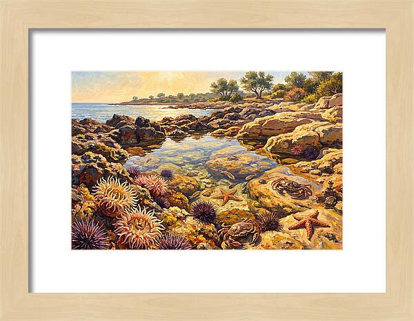 Tranquil Ocean Serenity 8959