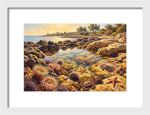 Tranquil Ocean Serenity 8959