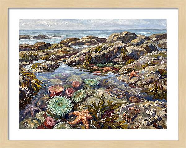 Tranquil Ocean Views 8969