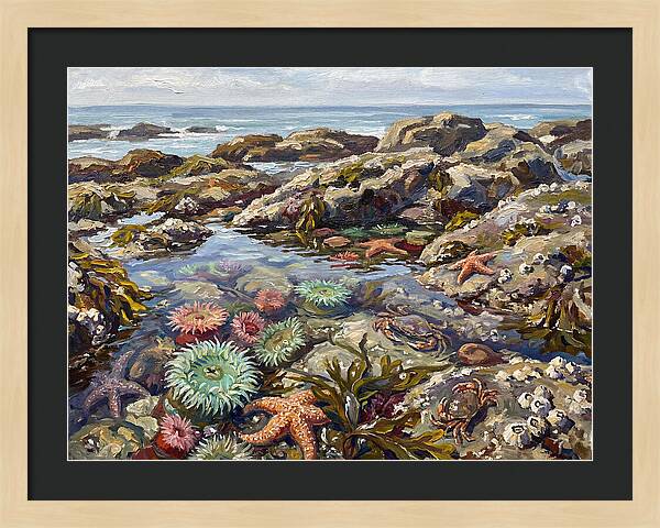 Tranquil Ocean Views 8969