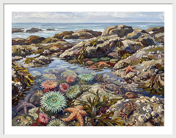 Tranquil Ocean Views 8969